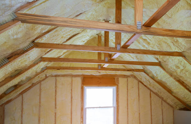 Best Spray Foam Insulation in Lakehills, TX
